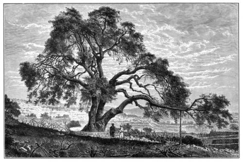 Abraham Images - Image 8