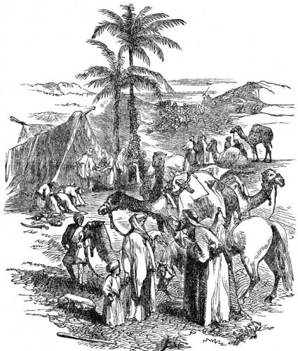 Abraham Images - Image 9