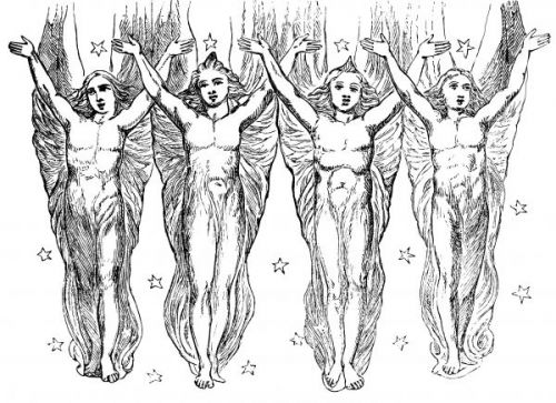 Angel Images - Image 1