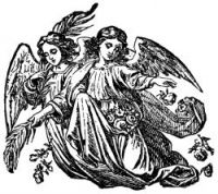 Angel Images - Image 9