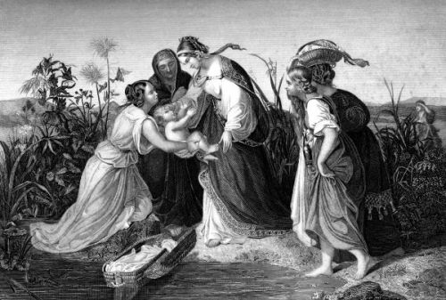 Baby Moses - Image 18