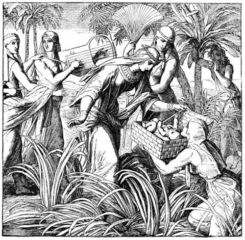 Baby Moses - Image 2