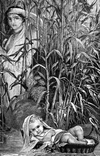 Baby Moses - Image 4