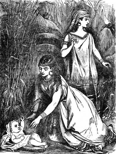 Baby Moses - Image 6