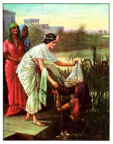 Baby Moses - Image 9