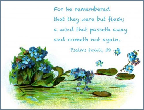 Bible Sayings - Image 5