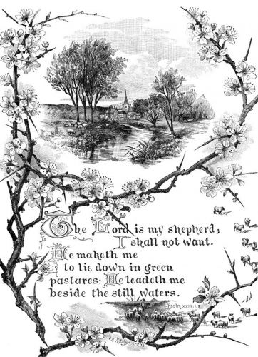 Bible Scripture Quotes - Image 4