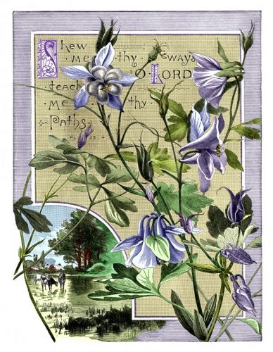 Bible Scripture Quotes - Image 5