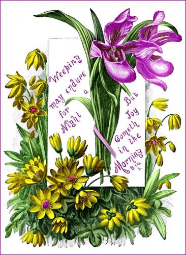 Bible Scripture Quotes - Image 7