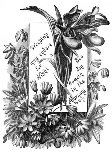 Bible Scripture Quotes - Image 8