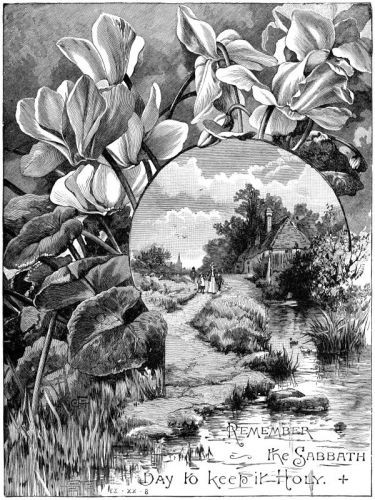 Bible Scriptures - Image 4