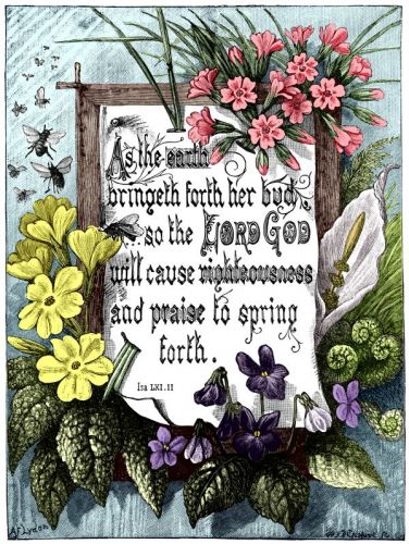 Biblical Quotes - Image 3