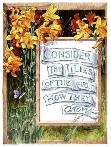 Biblical Quotes - Image 5