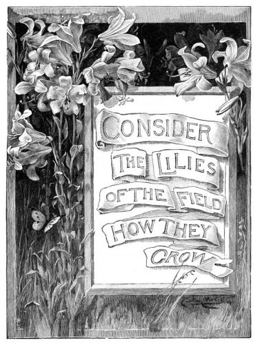 Biblical Quotes - Image 6