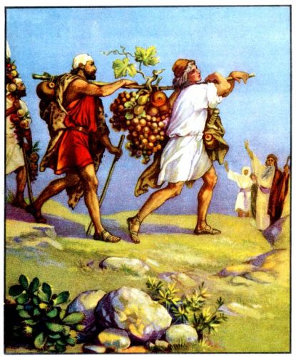 Caleb and Joshua - Image 2