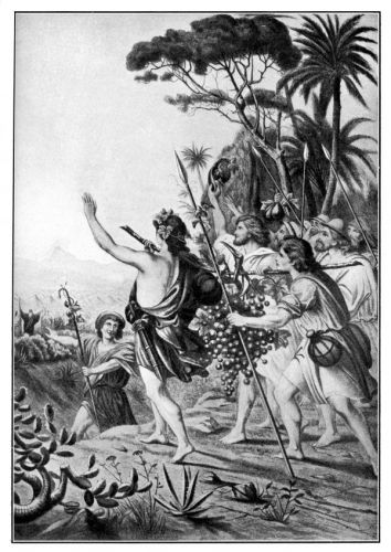 Caleb and Joshua - Image 3