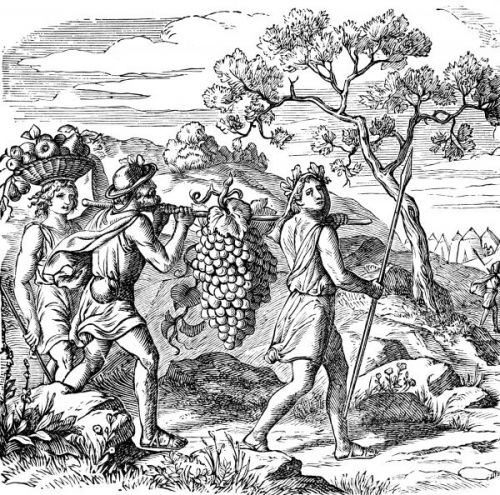 Caleb and Joshua - Image 4