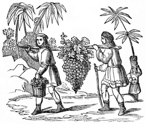 Caleb and Joshua - Image 6