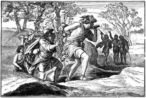 Caleb and Joshua - Image 8