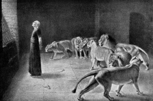 Daniel and the Lions - Image 12