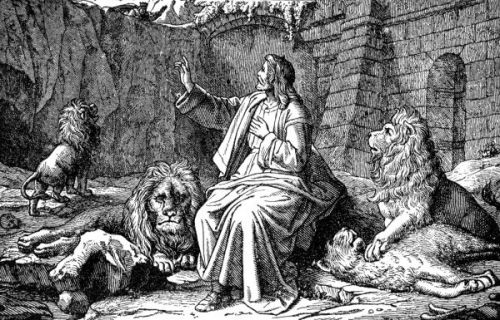 Daniel and the Lions - Image 6