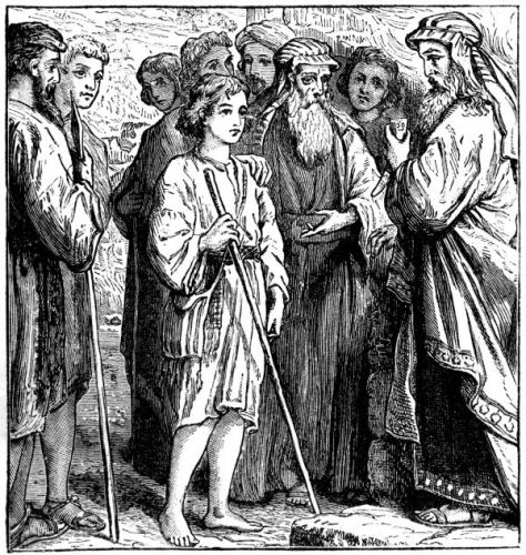 David and Samuel - Image 4