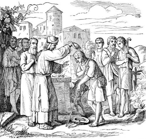 David and Samuel - Image 8