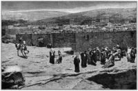 David Bible - Image 10