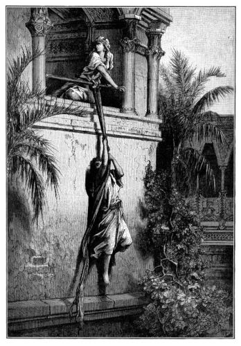 David Bible - Image 3