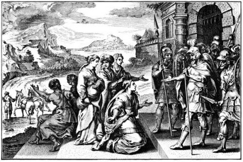 David Bible - Image 9