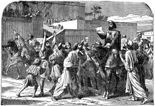 David Israel - Image 4