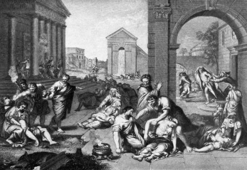 David Israel - Image 6