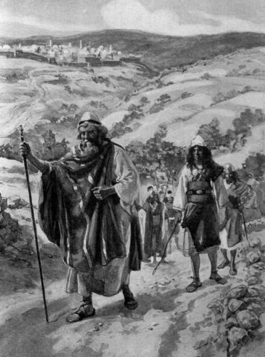 David Jerusalem - Image 5