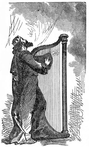 David's Harp - Image 9