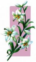 Easter Flowers - Image 5