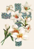Easter Flowers - Image 8