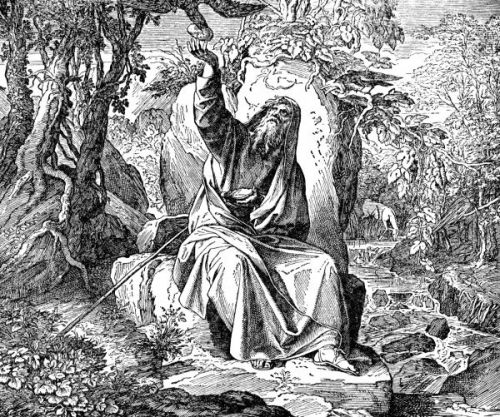 Elijah and the Ravens - Image 9