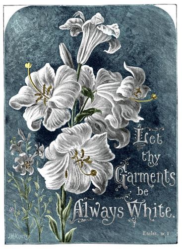 Famous Bible Quotes - Image 7