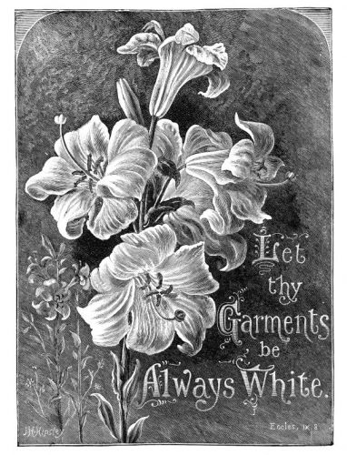 Famous Bible Quotes - Image 8