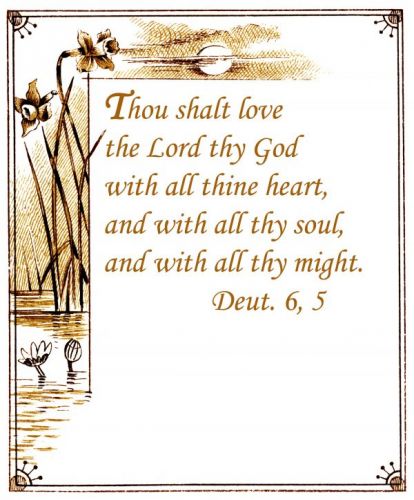 Inspiring Bible Verses - Image 4