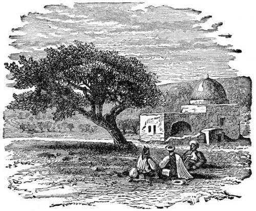 Jacob and Rachel - Image 8