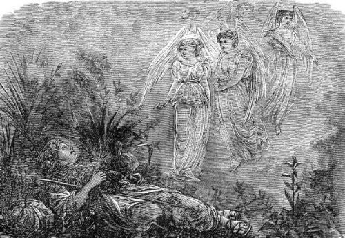 Jacob Pictures - Image 7