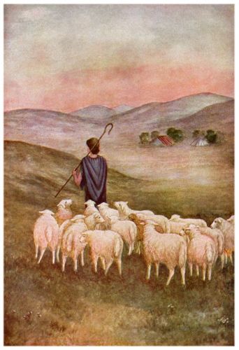 Jacob Pictures - Image 8