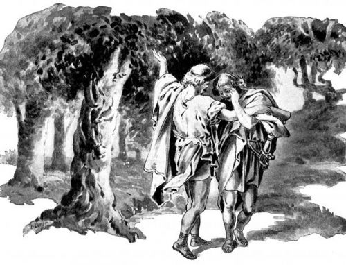 Jonathan Bible - Image 9