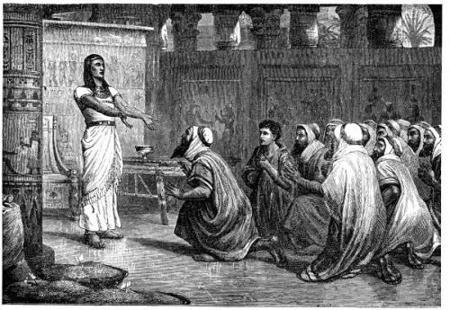 Joseph Pictures - Image 6