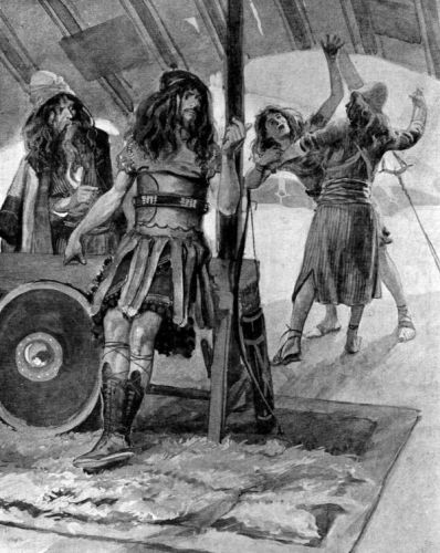 King David Bible - Image 1