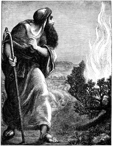 Moses Burning Bush - Image 1