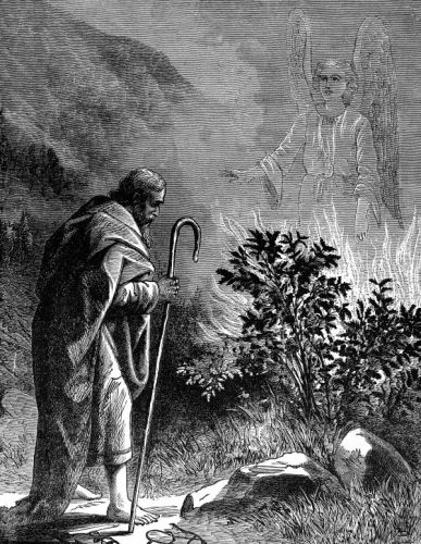 Moses Burning Bush - Image 2