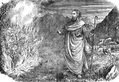 Moses Burning Bush - Image 7