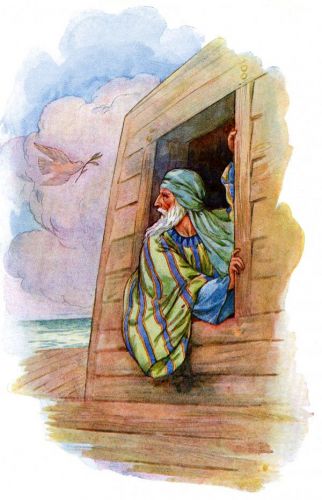 Noah Pictures - Image 1
